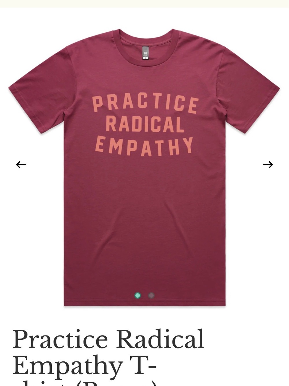 Practice Radical Empathy T-Shirt - nwot bitter southerner